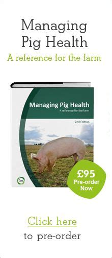 Antibiotics, antibacterial medicines for diseases and parasites - Managing Pig Health and ...