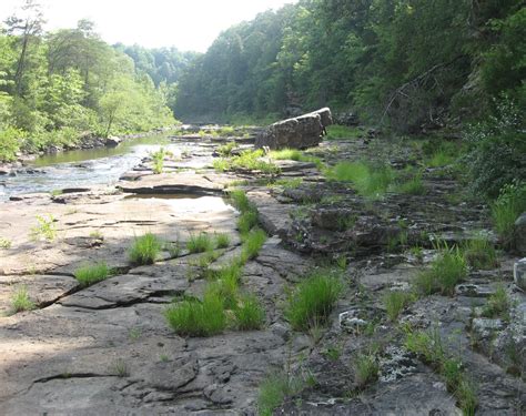 Cumberland Plateau Grassland Gallery — Southeastern Grasslands Initiative