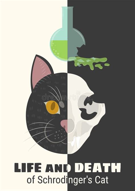 The Life and Death of Schrodinger`s Cat Stock Vector - Illustration of ...