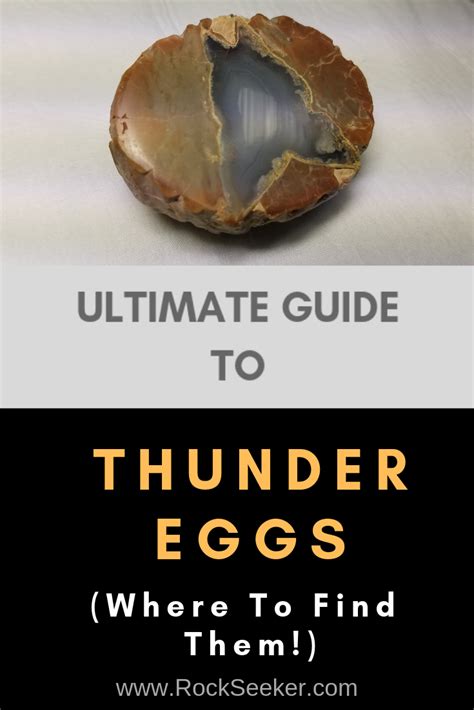 All About THUNDER EGGS (And Where To Find Them!) | Minerals, Rock minerals, Rock hunting