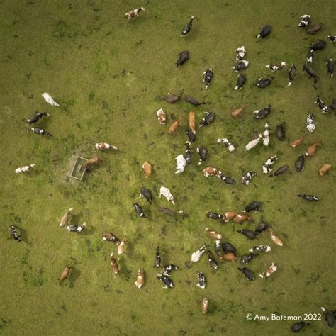 Unique Insight into Cumbrian Farming | Forty Farms exhibition