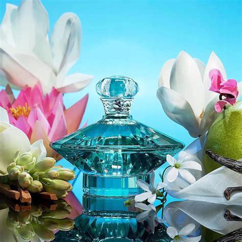 Britney Spears Curious EDP - MC Perfume & Diamond: Công Ty Nhập Khẩu Và Cung Cấp Sỉ Nước Hoa ...