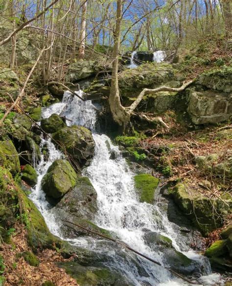 Best Hikes in Shenandoah National Park with Kids