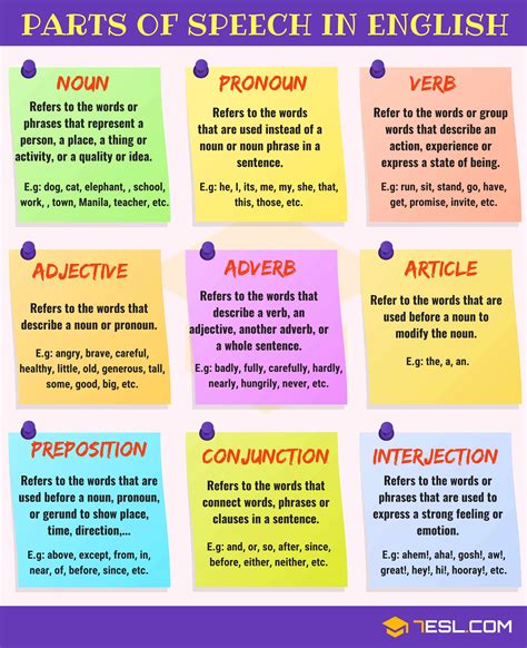 Parts of Speech | Definition and Examples | English Grammar - 7 E S L