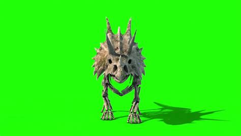 Triceratops Skeleton image - Free stock photo - Public Domain photo - CC0 Images