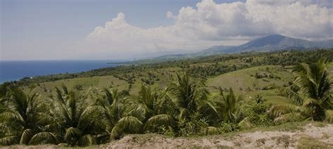 Changing the Landscape of Haiti | Heifer International