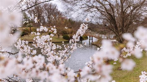 Visiting the Missouri Botanical Garden (Photos)