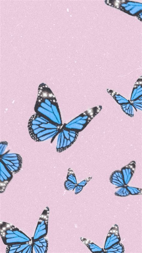 blue butterfly wallpaper 🦋 | Butterfly wallpaper, Blue butterfly wallpaper, Butterfly wallpaper ...