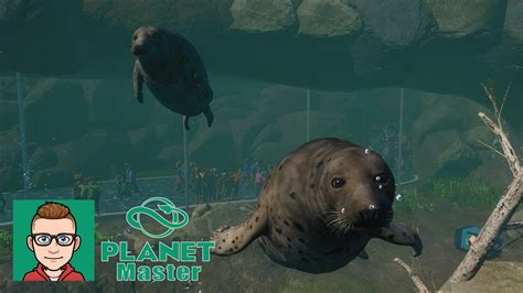 Grey Seal Habitat & Underwater viewing | 🌴Wildlife Hills🌳 | Planet Zoo | - YouTube