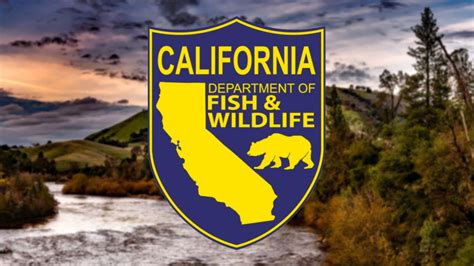 Department of Fish and Wildlife launch license application for mobile ...