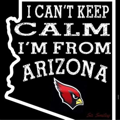 Arizona Cardinals Super Fans @arizonaladybirds #BirdGang #RedSea ...