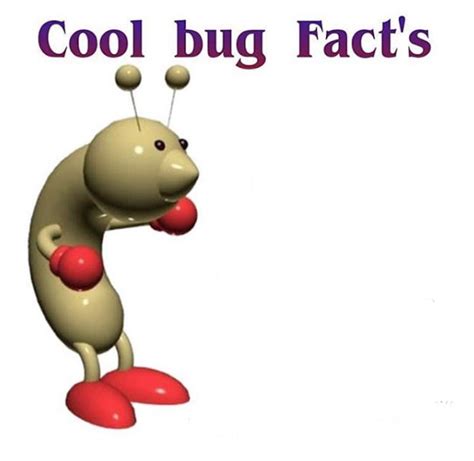 Cool Bug Facts Blank Template - Imgflip