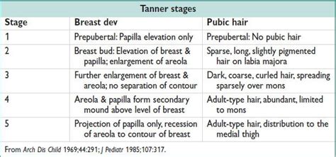 Tanner Stage 3 Female 59071 | INVESTINGBB