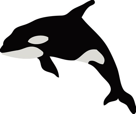 Killer Whale Clipart - Transparent Killer Whale Silhouette - Png Download - Full Size Clipart ...