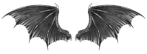 Realistic Dragon Wings Png | Wings png, Dragon wings, Realistic dragon