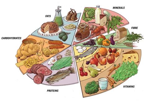 Macronutrients & Micronutrients