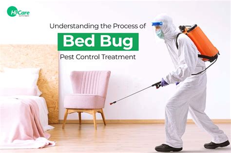 Bed Bug Pest Control: Understanding the Treatment Process | HiCare