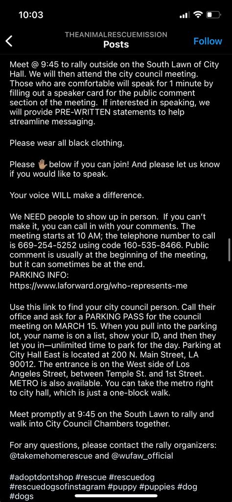 TMR @10AM 3/15 LA city hall protest for animal rights & shelter dog ...