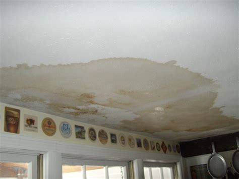 Flora Brothers Painting - How to Repair Ceiling Stains & Water Damage