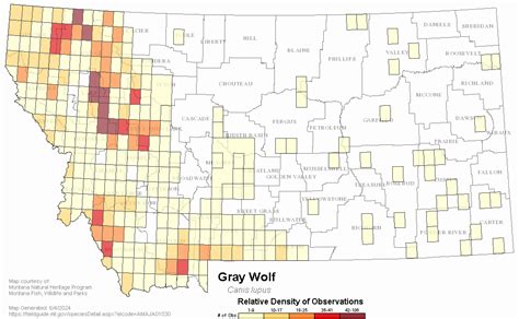 Montana's wolf hunting season ends. 166 out of a target 220 taken. - Stormfront