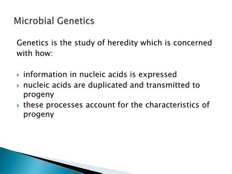 PPT - Microbial Genetics PowerPoint Presentation, free download - ID:1103920