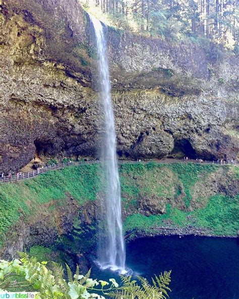 Hiking in Oregon: Silver Falls State Park - Hiking in Oregon - Urban ...