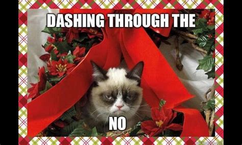 🔥 [50+] Grumpy Cat Christmas Wallpapers | WallpaperSafari