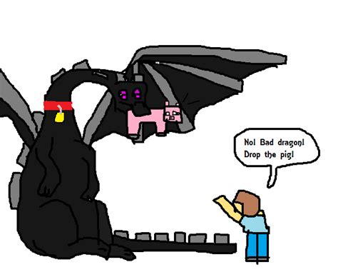 Image - Pet ender dragon.png - Minecraft Fanfictions Wiki