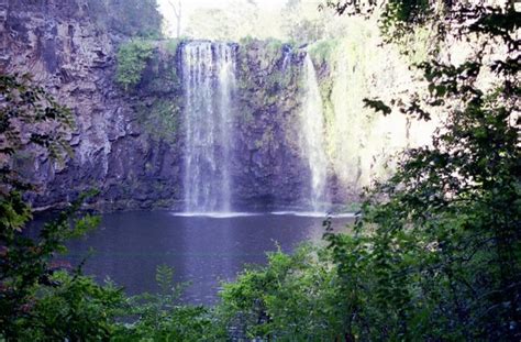 Dangar Falls | Dangar Falls at Dorrigo, New South Wales, Aus… | Flickr