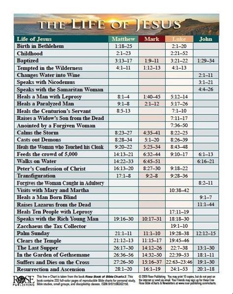 FREE Life of Jesus Time Line e-chart | Bible facts, Read bible, Bible knowledge