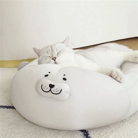 Seal cat beds