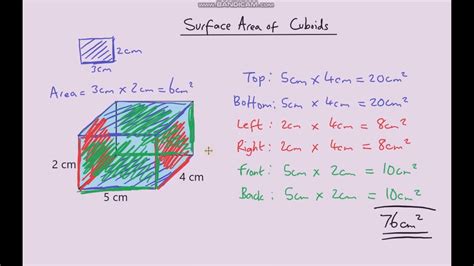 Surface Area Of A Cuboid