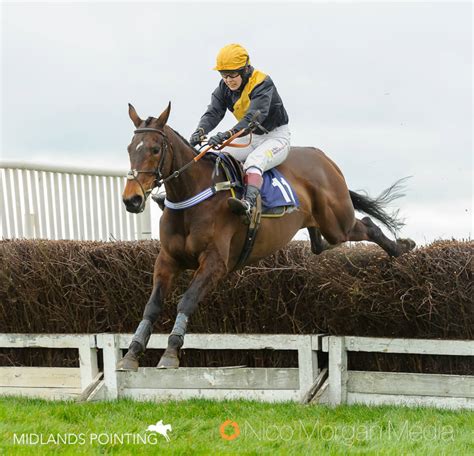 Pytchley at Guilsborough - preview - Midlands Pointing