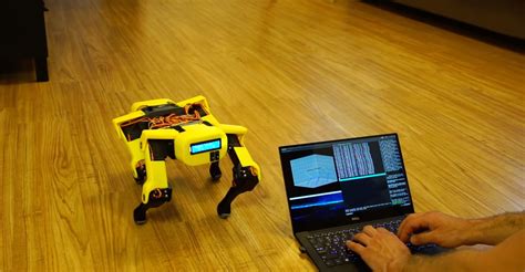 The 10 Best Raspberry Pi Robotics Projects