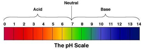 Why You May Want to Check the pH of Your Body – VLTV