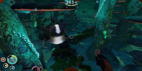 Subnautica: Where to Find Cuddlefish Eggs | Screen Rant