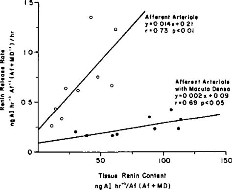 Figure 2 from Role of the Macula Densa in Renin Release | Semantic Scholar