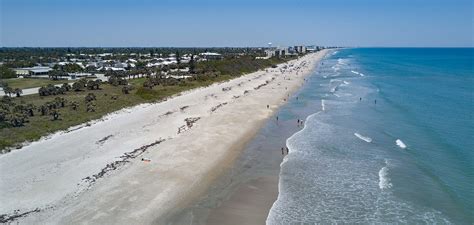 Dog Walkers in Satellite Beach, FL - Dog Walking Near You | Wag!