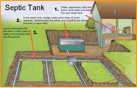 Septic Tanks Explained - McCoy Wright Realty | Septic system installation, Septic tank, Diy ...