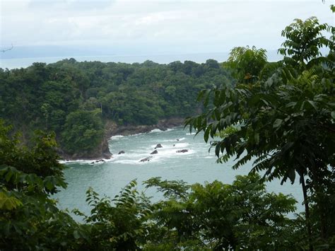 Rali Gitano: Manuel Antonio National Park: A Million Tourists, A Thousand Monkeys And Lots Of ...