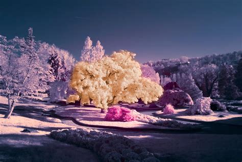 Infrared Photography of Nature - XciteFun.net