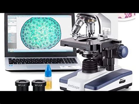 AmScope B120C Microscope Magnification Review - YouTube