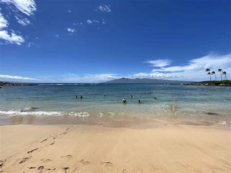 Kapalua Bay Snorkeling Guide - Maui Hideaway