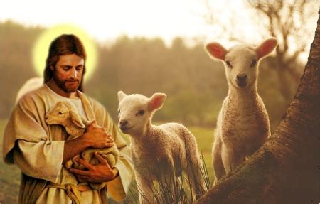 JESUS good shepherd - Collages & Abstract Background Wallpapers on Desktop Nexus (Image 1729228)
