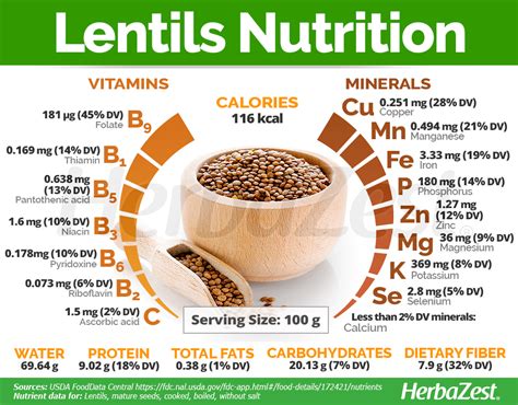 Lentils | HerbaZest