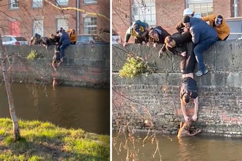 Drowning dog saved by heroic efforts of passersby!