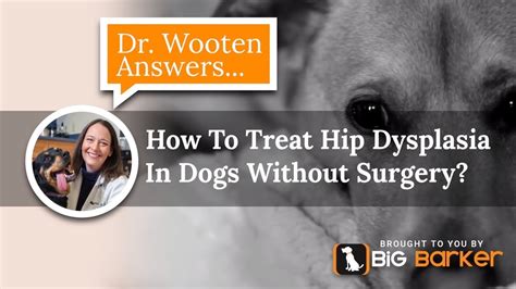 How To Treat Hip Dysplasia In Dogs Without Surgery? | Dr. Wooten Answers... - YouTube