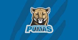 Ultimate Medical Academy Unveils Mascot – the Pumas – to Kick off the ...