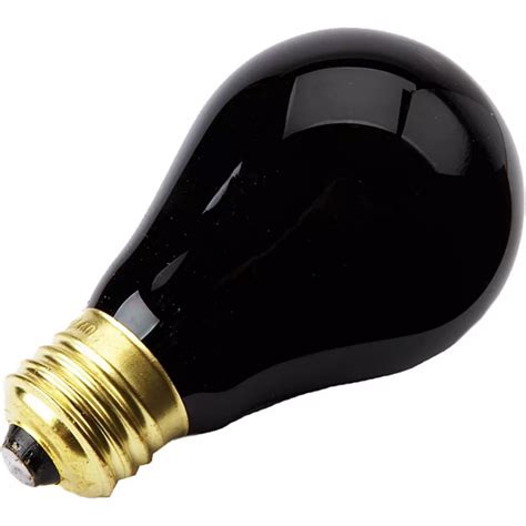 Classic Black Light Bulb | Party City