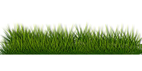 Background Border Grass - Free vector graphic on Pixabay